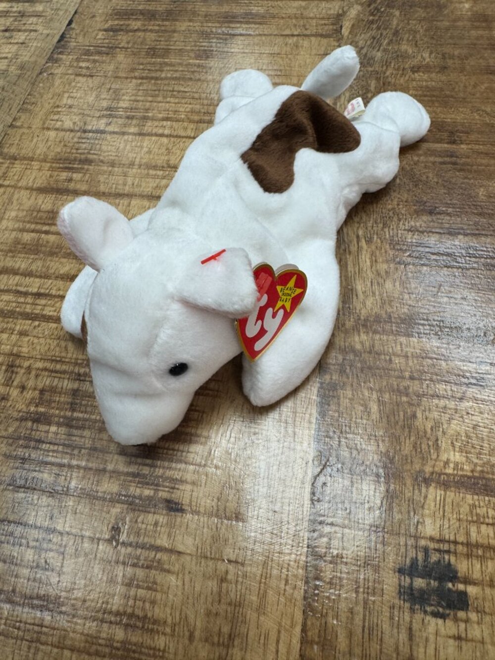 Ty Beanie Baby Retired Butch the Dog TAG ERRORS / Misspelling 1998 / 1999 RARE